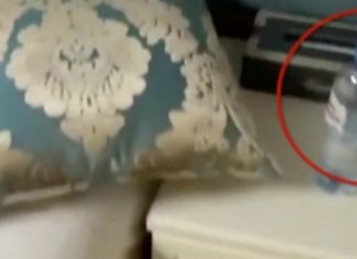 Alexei Navalny: Aides say Novichok found on water bottle, Report Alexei Navalny: Aides say Novichok found on water bottle, Report