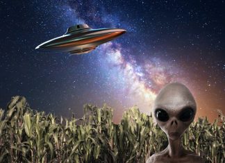 Astronomers find NO technological signs of alien life (New Study) Astronomers find NO technological signs of alien life (New Study)