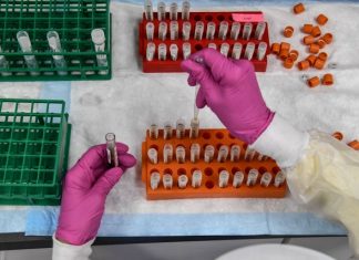 UK new Covid-19 strain: Germany bans flights from UK over COVID ‘mutation’ UK new Covid-19 strain: Germany bans flights from UK over COVID 'mutation'