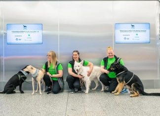 Finland to deploy virus-sniffing dogs at Helsinki Airport Finland to deploy virus-sniffing dogs at Helsinki Airport