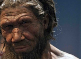 Climate change likely drove early human species to extinction, Researchers Say Climate change likely drove early human species to extinction, Researchers Say