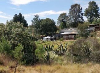 Cocaine-laden plane crashes in Mexico, Report Cocaine-laden plane crashes in Mexico, Report