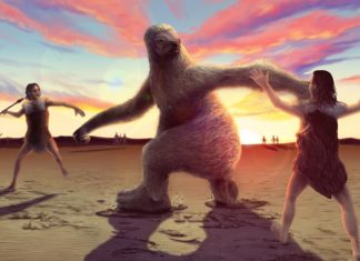 Fossilized footprints found at White Sands National Park in New Mexico Fossilized footprints found at White Sands National Park in New Mexico