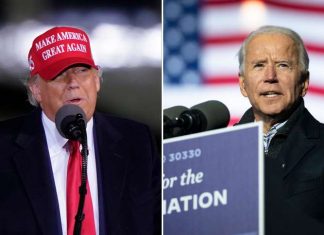 Donald Trump tweets ‘WE WILL WIN’ despite no legal victories or evidence in fraud battle Donald Trump tweets ‘WE WILL WIN’ despite no legal victories or evidence in fraud battle