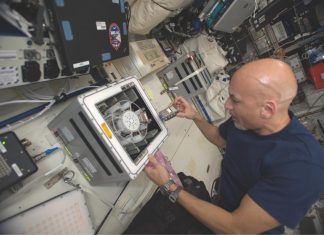 Earth bacteria might make it to the Moon and Mars after all, Researchers Say Earth bacteria might make it to the Moon and Mars after all, Researchers Say