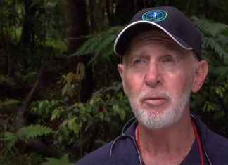 I’m A Celebrity fan favourite replaced for 2020 series, Report I'm A Celebrity fan favourite replaced for 2020 series, Report