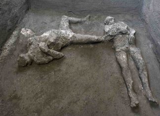 Long-buried remains found at Pompeii ruins (Picture) Long-buried remains found at Pompeii ruins (Picture)