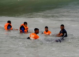 Over 100 stranded whales rescued in Sri Lanka, Photo Over 100 stranded whales rescued in Sri Lanka, Photo