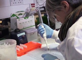 T-cell immunity against Covid-19 found in adults six months after infection (Study) T-cell immunity against Covid-19 found in adults six months after infection (Study)