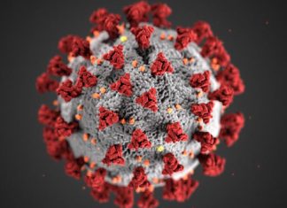 Coronavirus UK Updates: Covid-19 deaths in England approaching 100,000 Coronavirus UK Updates: Covid-19 deaths in England approaching 100,000