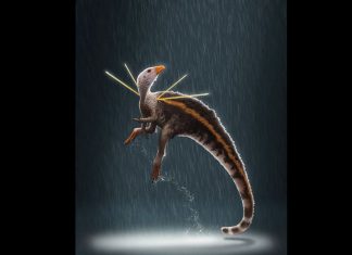 New dinosaur discovered in Brazil (Study) New dinosaur discovered in Brazil (Study)