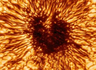 This giant sunspot is larger than the Earth (Photo) This giant sunspot is larger than the Earth (Photo)