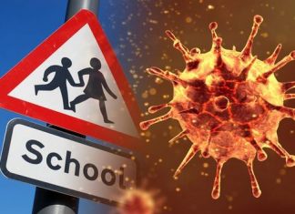 Coronavirus UK Updates: Ministers urged to do homework to stop school closures turning into a skills crisis Coronavirus UK Updates: Ministers urged to do homework to stop school closures turning into a skills crisis