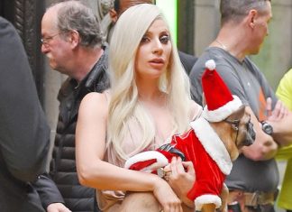Lady Gaga’s Dog Walker Was Shot, and Two of Her Dogs Stolen, Report Lady Gaga’s Dog Walker Was Shot, and Two of Her Dogs Stolen, Report