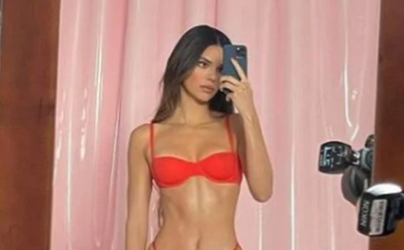 Star Kendall Jenner stuns fans in lingerie photo shoot