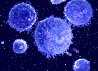 Cancer: Immune response in some melanoma survivors persists for 9 years (Study) Cancer: Immune response in some melanoma survivors persists for 9 years (Study)