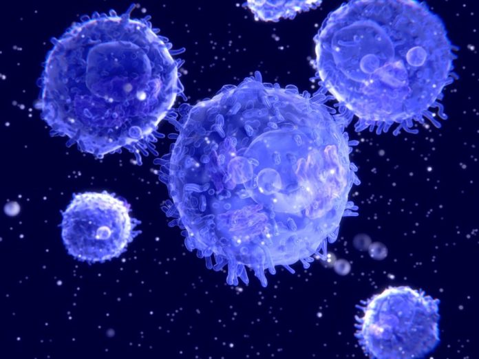 Cancer: Immune response in some melanoma survivors persists for 9 years (Study)