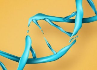 Cancer cells shut down ‘quality control’ in DNA synthesis, says study Cancer cells shut down 'quality control' in DNA synthesis, says study