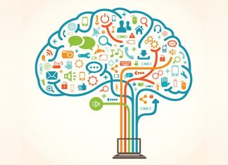 Research challenges idea that students with cognitive disabilities can’t be in STEM Research challenges idea that students with cognitive disabilities can't be in STEM