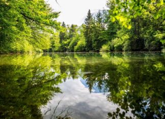 Research finds airborne release of toxin from algal scum Research finds airborne release of toxin from algal scum