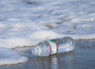 Research reveals the complexity of microplastic pollution Research reveals the complexity of microplastic pollution