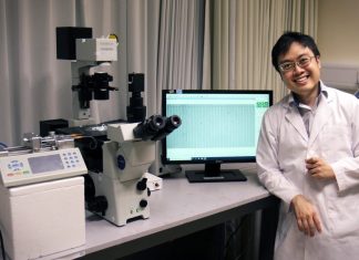 Scientists develop 15-minute immune-profiling assay Scientists develop 15-minute immune-profiling assay