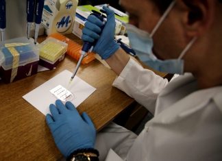 Scientists develop handheld test for chronic kidney disease Scientists develop handheld test for chronic kidney disease