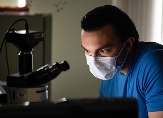 Study: Apt analogies help veteran convey his HIV research Study: Apt analogies help veteran convey his HIV research