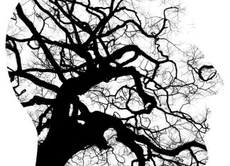 Study: Long wait times increase for children seeking emergency care for mental health Study: Long wait times increase for children seeking emergency care for mental health