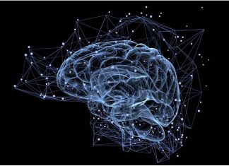 Study: Memory and executive function symptoms more accurate for predicting CTE than mood, behavior Study: Memory and executive function symptoms more accurate for predicting CTE than mood, behavior
