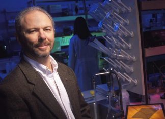 Epigenetics research draws link between hatchery conditions and steelhead trout fitness Epigenetics research draws link between hatchery conditions and steelhead trout fitness