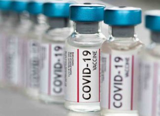 Publix, CVS, Sam’s Club, Winn-Dixie, Walmart launching walk-in COVID vaccinations with no appointments Publix, CVS, Sam's Club, Winn-Dixie, Walmart launching walk-in COVID vaccinations with no appointments
