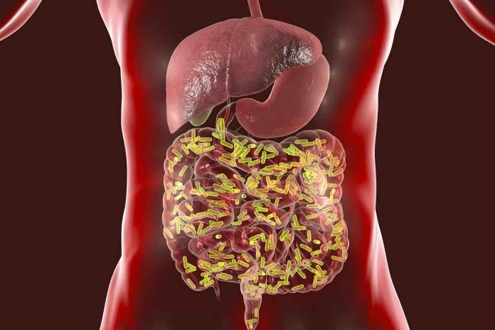 Recherchers link genetic makeup of bacteria in the human gut to several human diseases