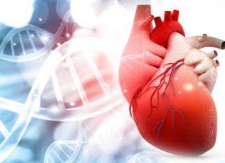 Research finds heart transplantation using donation after cardiac death with NRP Research finds heart transplantation using donation after cardiac death with NRP