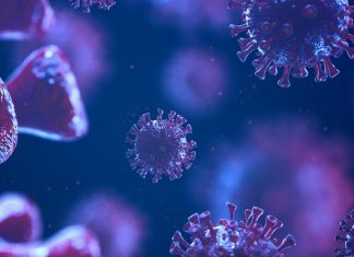 SARS-CoV-2 RNA discovery unlocks new potential treatments, says study SARS-CoV-2 RNA discovery unlocks new potential treatments, says study