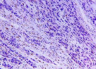 Scientists Seek Deeper Understanding Of How Cells Operate Scientists Seek Deeper Understanding Of How Cells Operate