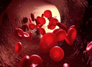 Study: Blood test detects childhood tumors based on their epigenetic profiles Study: Blood test detects childhood tumors based on their epigenetic profiles