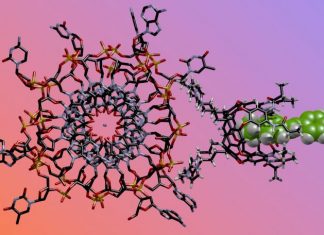 Study: Chemical ‘nose’ sniffs critical differences in DNA structures Study: Chemical 'nose' sniffs critical differences in DNA structures
