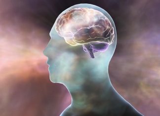 Study: Memory details fade over time, with only the main gist preserved Study: Memory details fade over time, with only the main gist preserved