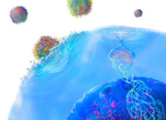 Study: New immunotherapy ‘highly effective’ against hepatitis B Study: New immunotherapy 'highly effective' against hepatitis B