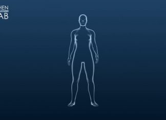 Study: New tool activates deep brain neurons by combining ultrasound, genetics Study: New tool activates deep brain neurons by combining ultrasound, genetics