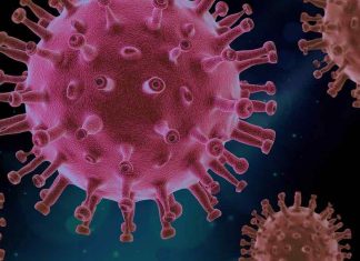Research evaluates potential causes of increased transmission in SARS-CoV-2 variants Research evaluates potential causes of increased transmission in SARS-CoV-2 variants