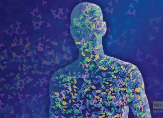 Researchers describe ‘multi-kingdom dialogue’ between internal, external microbiota Researchers describe 'multi-kingdom dialogue' between internal, external microbiota