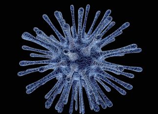 Researchers develop novel therapy for crimean-congo hemorrhagic fever virus Researchers develop novel therapy for crimean-congo hemorrhagic fever virus