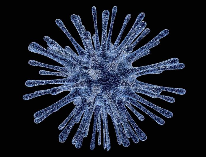 Researchers develop novel therapy for crimean-congo hemorrhagic fever virus