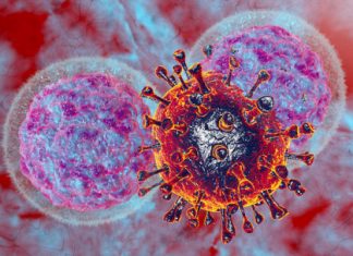 Researchers learn what fuels the ‘natural killers’ of the immune system Researchers learn what fuels the 'natural killers' of the immune system