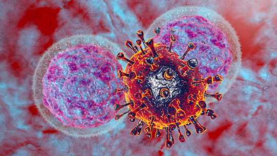 Researchers learn what fuels the 'natural killers' of the immune system