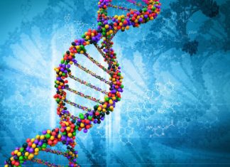 Study: New discovery shows human cells can write RNA sequences into DNA Study: New discovery shows human cells can write RNA sequences into DNA