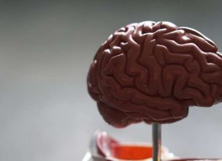 Brain functional connectivity in Tourette syndrome, says study Brain functional connectivity in Tourette syndrome, says study