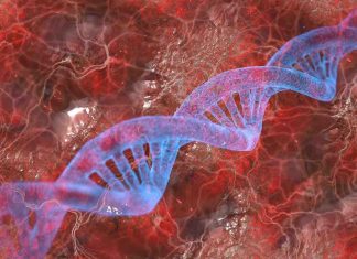 Scientists discover better way to identify DNA variants Scientists discover better way to identify DNA variants